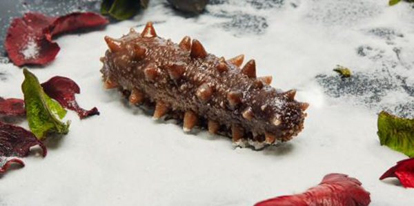 怎樣快速的區(qū)分淡干海參、鹽干海參和凍干海參？